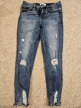 BKE Parker Size 29 Ripped Distressed Blue Skinny Jeans